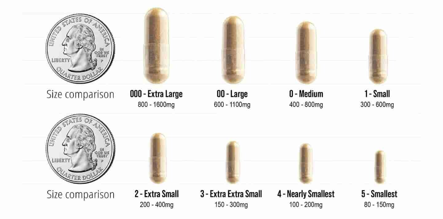 Capsule Sizes